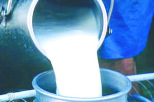 milk