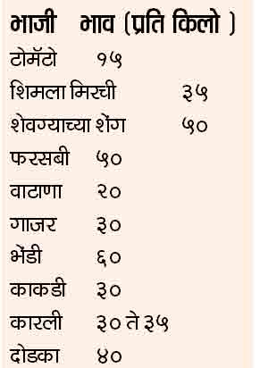 vashi-market-chart