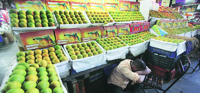 03-lp-mango-seller