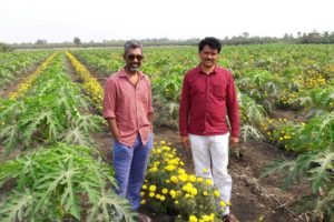 sairat