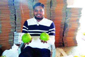 farming by doctors