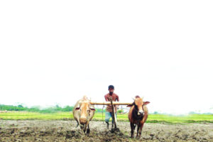 Farm loan waiver