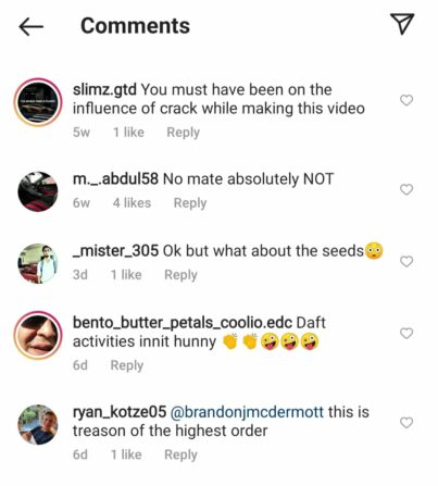 comments on watermelon pizza